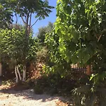 Olympos Mocamp База відпочинку Каш