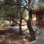 Olympos Mocamp База відпочинку Каш
