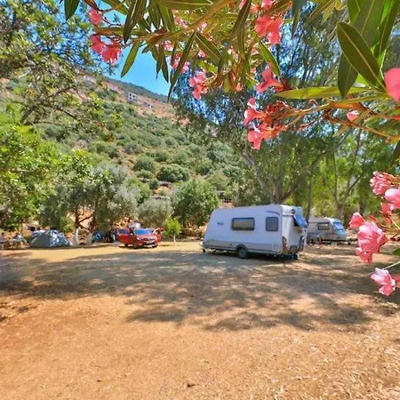 Olympos Mocamp Kaş