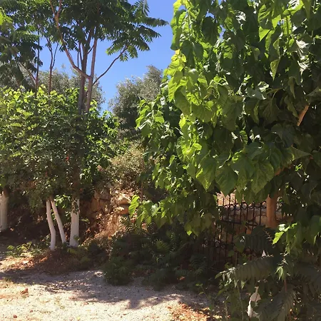 Olympos Mocamp Vakantiepark Kaş