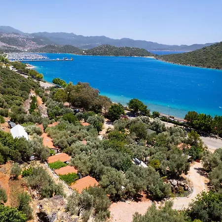 Olympos Mocamp Kaş