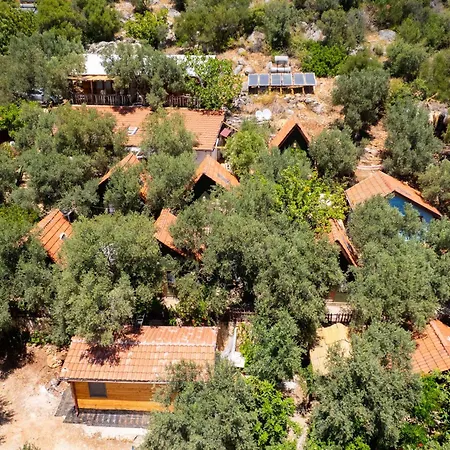 Olympos Mocamp