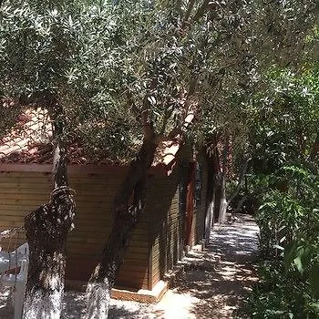 Olympos Mocamp 3* Kaş