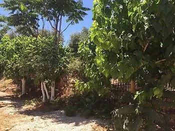 Olympos Mocamp Kaş