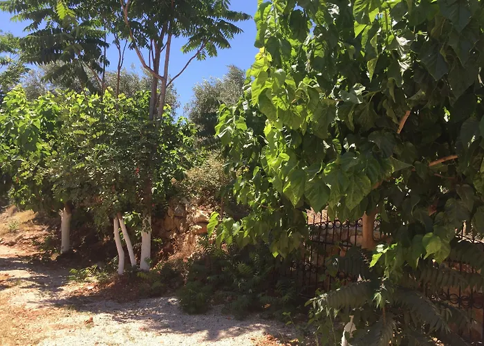 Olympos Mocamp Semesterpark Kaş