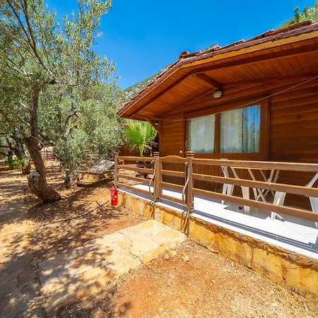 Olympos Mocamp