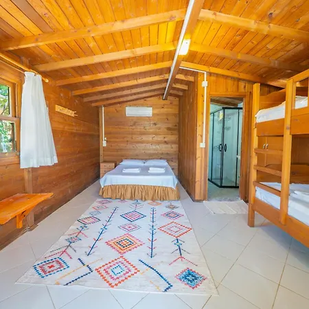 Olympos Mocamp カシュ